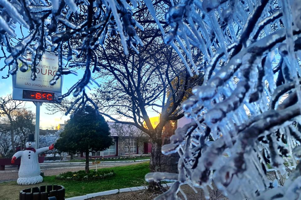 Ice covers trees at dawn during a cold snap in Sao Joaquim, Brazil, Wednesday, July 28, 2021. A fierce cold snap on Wednesday night prompted snowfall in southern Brazil where such weather is a phenomenon. (AP Photo/Mycchel Legnaghi) ORG XMIT: XEP113