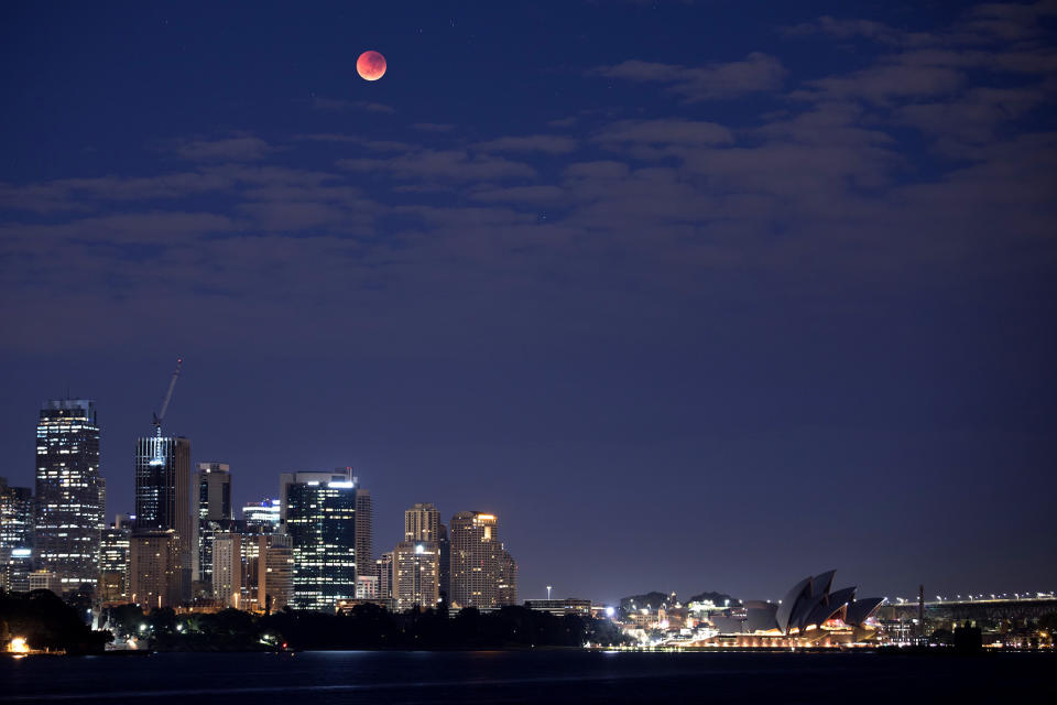 <p>Sogar am anderen Ende der Welt, in Sydney, konnte man das Blutmond-Ereignis bestaunen.<br>(Bild: Cameron Spencer/Getty Images) </p>