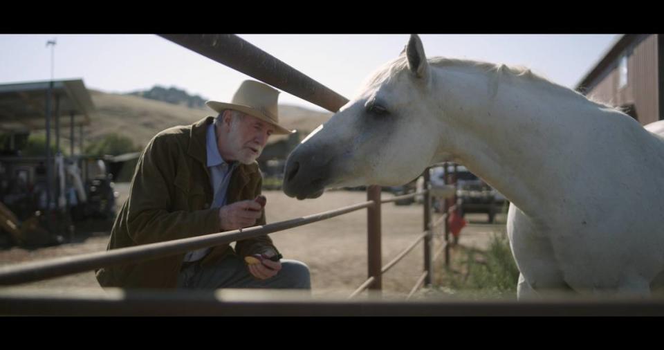 “Hidden Creek” tells the story of recent widower Jimmy Tucker,” an elderly rancher facing challenges in preserving both his land and his mind … (shedding) light on the often-overlooked struggles associated with dementia and the preservation of ranch land.” Lead actor John Henry Richardson portrays Tucker in this scene shot on a Cambria ranch. The film was made in San Luis Obispo County and will premiere at Hearst Castle in January 2024. 