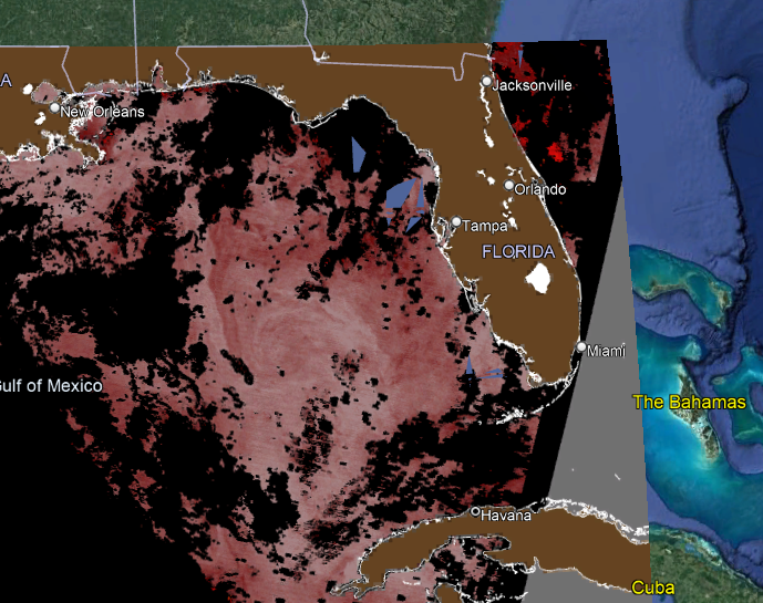 Sargassum accumulations July 5, 2023.