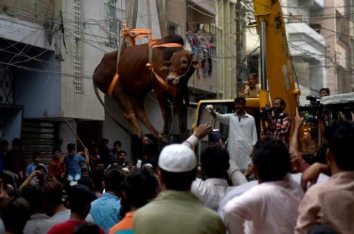 Despite an increase in prices, about 80,000 cows have already been sold at a single market in northern Karachi