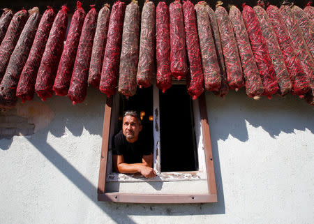 Peter Szabo, who runs a business producing powdered paprika, one of Hungary's best-known staples, looks out a window in Batya, Hungary, September 26, 2016. REUTERS/Laszlo Balogh