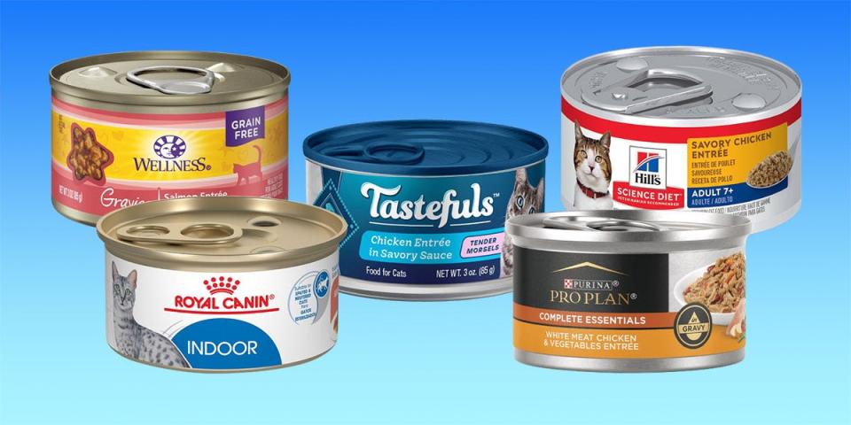 Five cans of wet cat food on a blue gradient background.