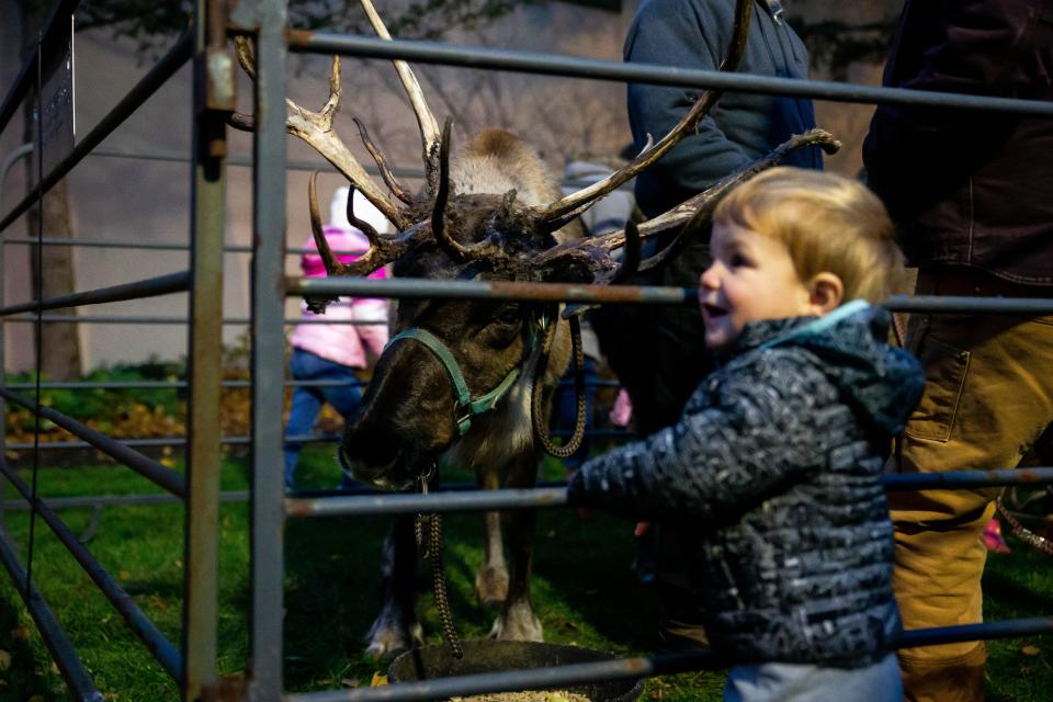 Children pet reindeer during Holland's Holiday Open House in 2021.
