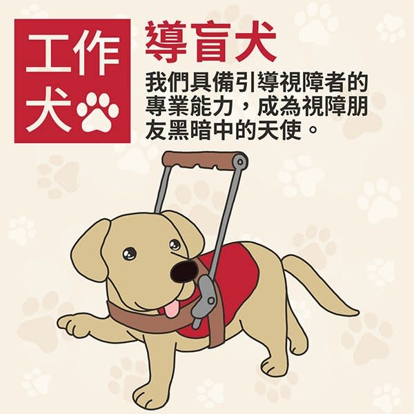 不只是毛小孩　除了警犬、導盲犬還有這些工作犬都是超級好幫手