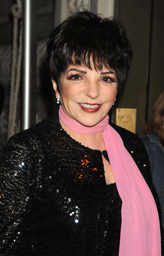 Fame School Alumni Liza Minelli