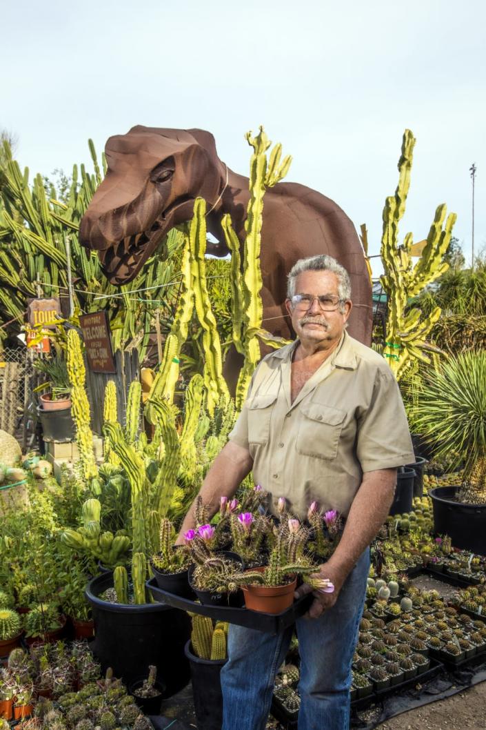 A man wearing glasses holds a tray of cactus, with cacti, succulents and a metal T-rex statue behind him.