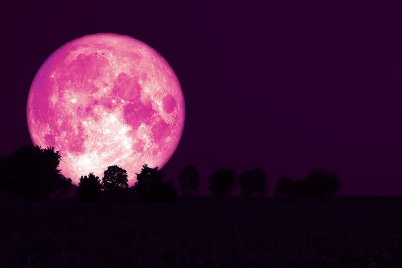 A full Strawberry Moon (Stock)