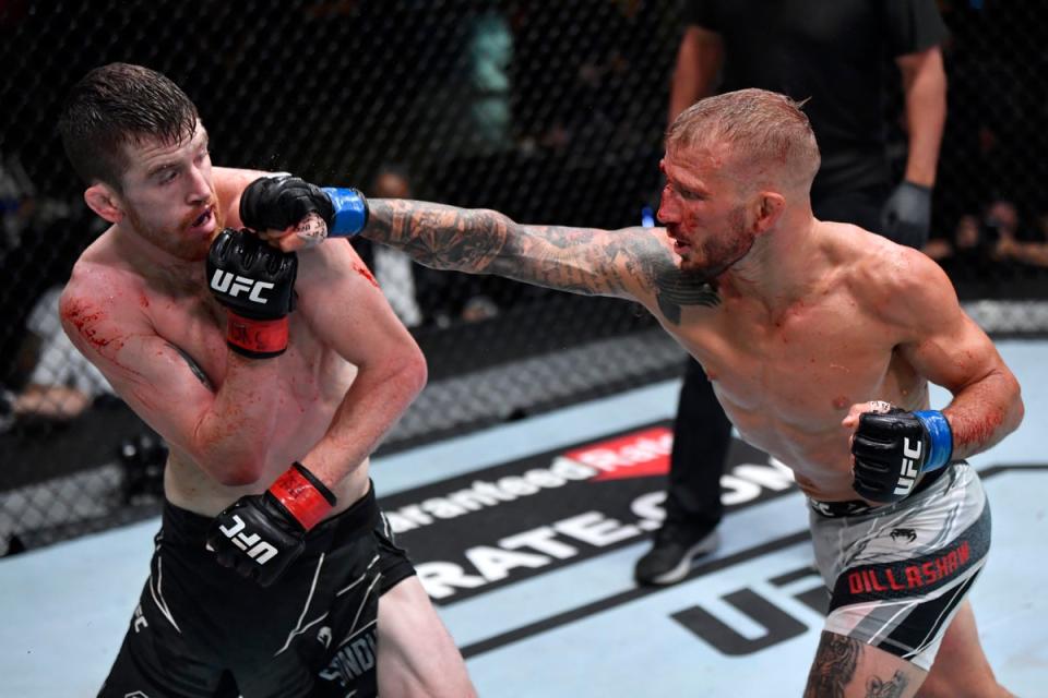 Dillashaw (right) returned from a two-year ban last July, beating Cory Sandhagen on points (Zuffa LLC via Getty Images)