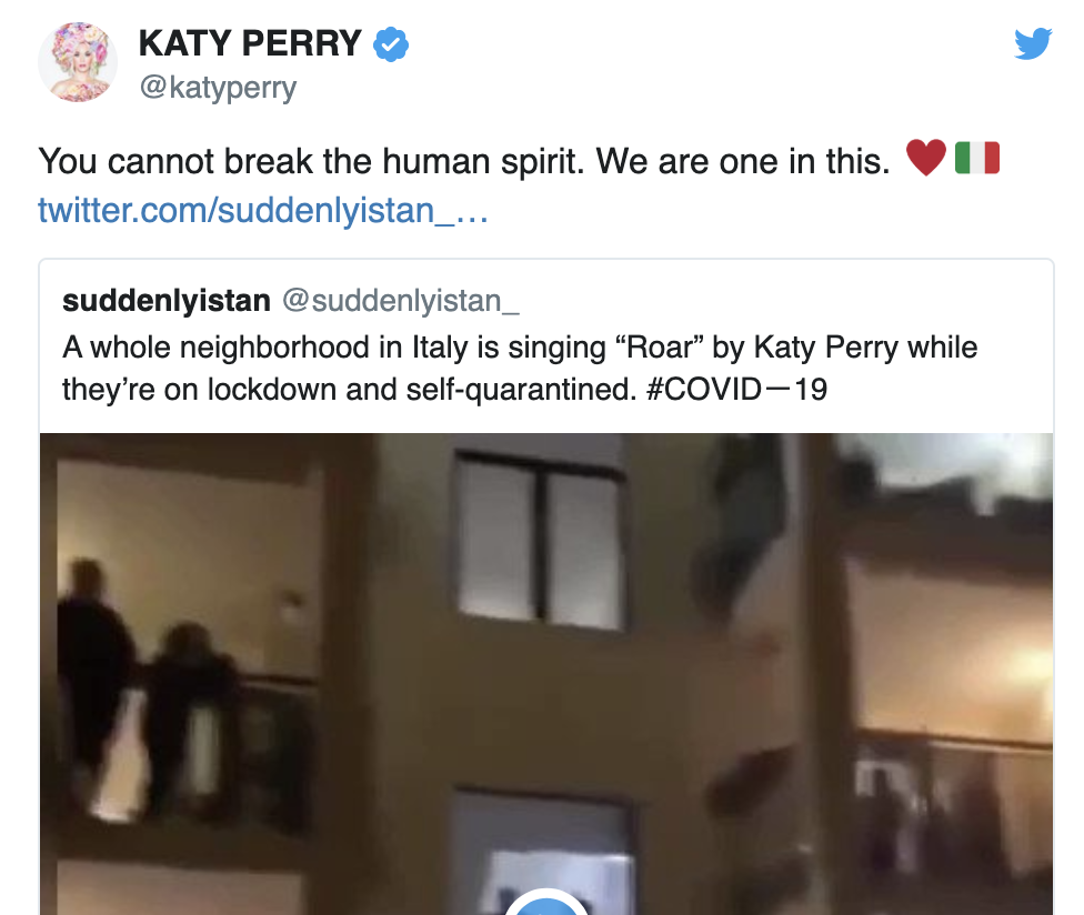 Katy Perry duped in coronavirus hoax. (Twitter)