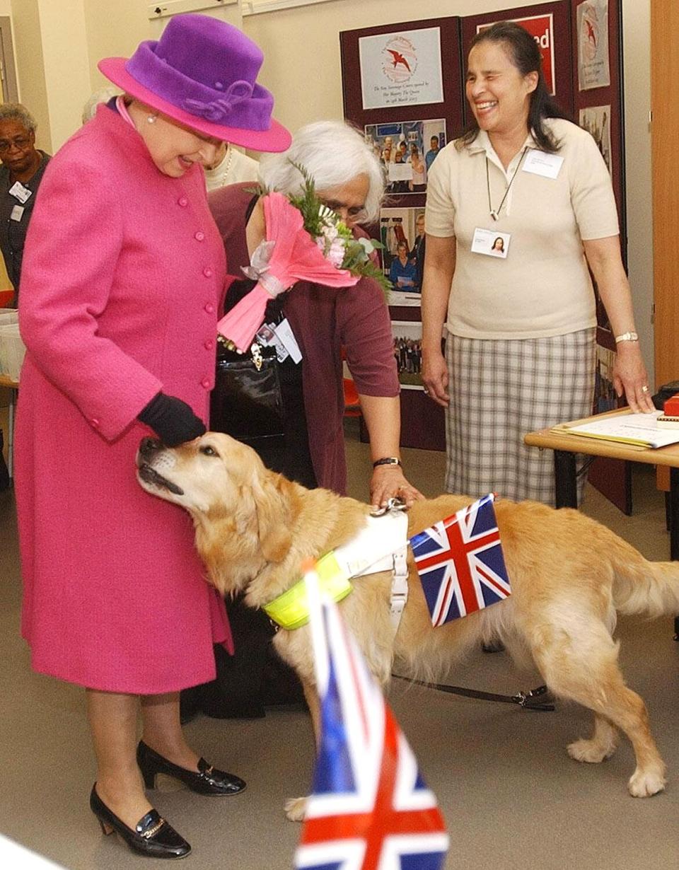 Queen Elizabeth meets Lenny the guide dog at North Hertfordshire College in Stevenage on Comic Relief Day in March 2003.