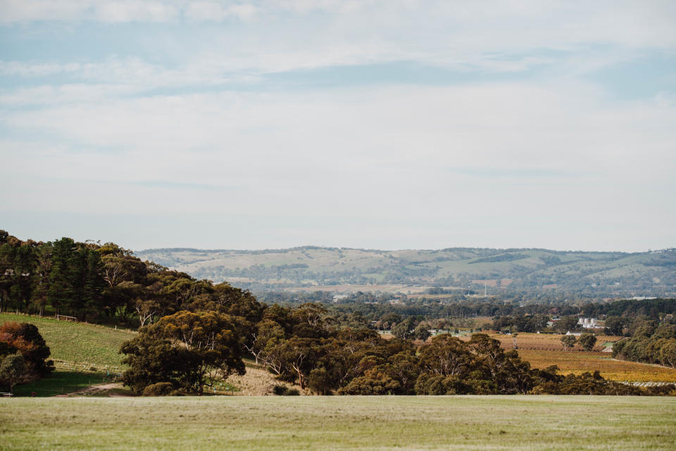 The stunning view from Never Never Distilling Co. nestled in Adelaide's McLaren Vale. Photo: supplied.