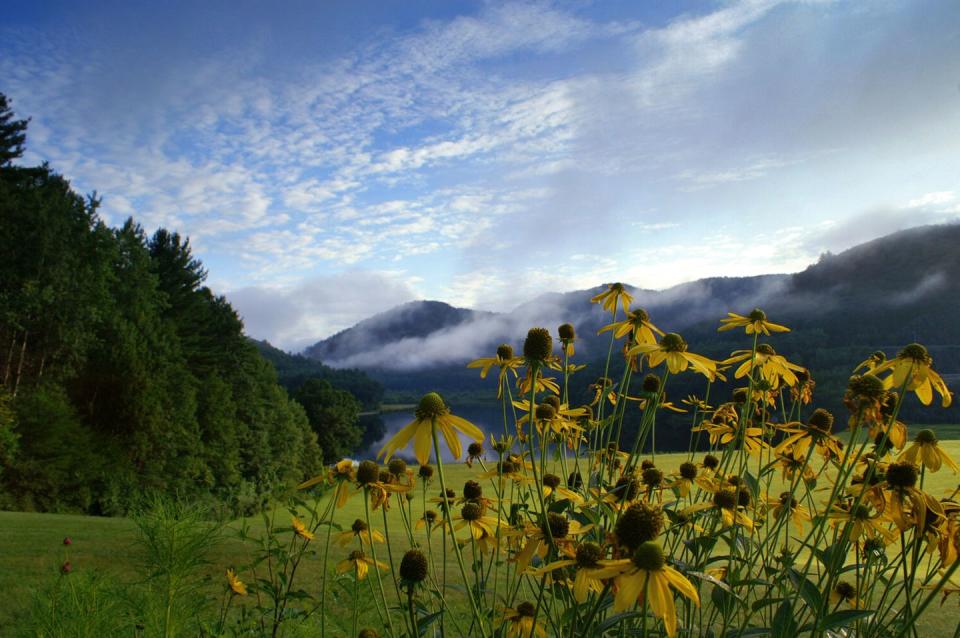 Townshend Lake - Vermont