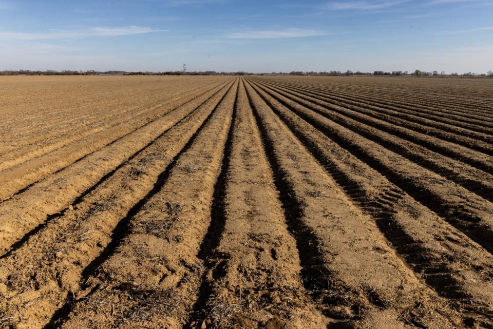 Farmland in the Mississippi Delta is pictured here on Wednesday, Nov. 29, 2023.