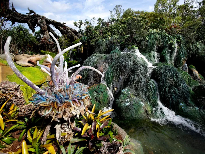 Landscaping consisting of Earth plant species mixed with artificial flora surrounded by ponds and waterfalls in Pandora in Disney.