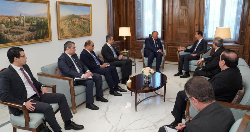 Syria's President Bashar al-Assad meets with Egypt's Foreign Minister Sameh Shoukry in Damascus