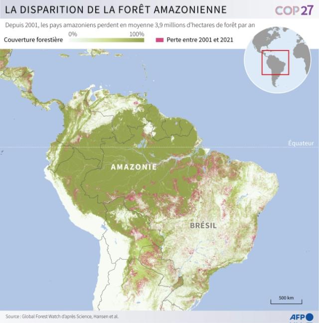 La disparition de la forêt amazonienne (AFP - )