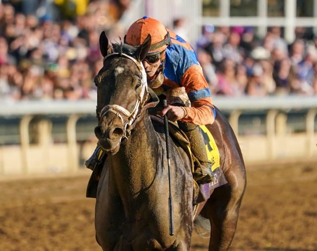 Trail to Kentucky Derby Post positions, draws, odds for Florida and