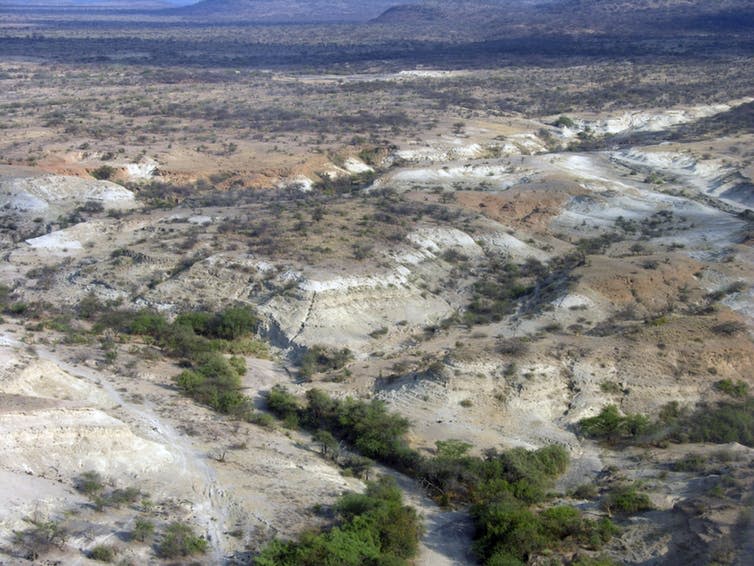 <span class="caption">Olorgesailie Basin.</span> <span class="attribution"><span class="source">Human Origins Program, Smithsonian</span></span>