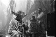 <p>Am Set von “Star Wars: Episode V – Das Imperium schlägt zurück”: Jedi-Meister Yoda bereitet sich auf einen Kampf vor. (Bild: ddp/INTERTOPICS/PictureLux) </p>
