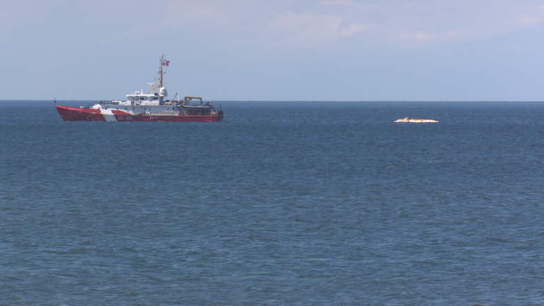 Necropsies on up to 3 right whales planned on P.E.I.