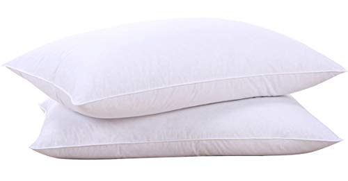 Puredown Goose Down Pillow Inserts (Amazon / Amazon)