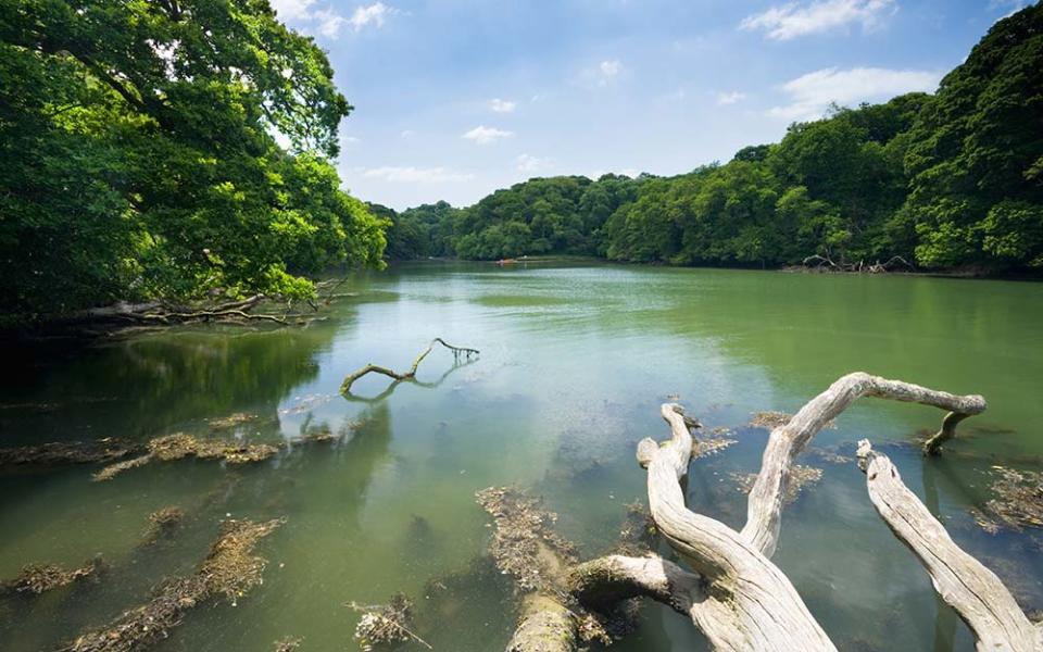 Frenchman's Creek, Cornwall