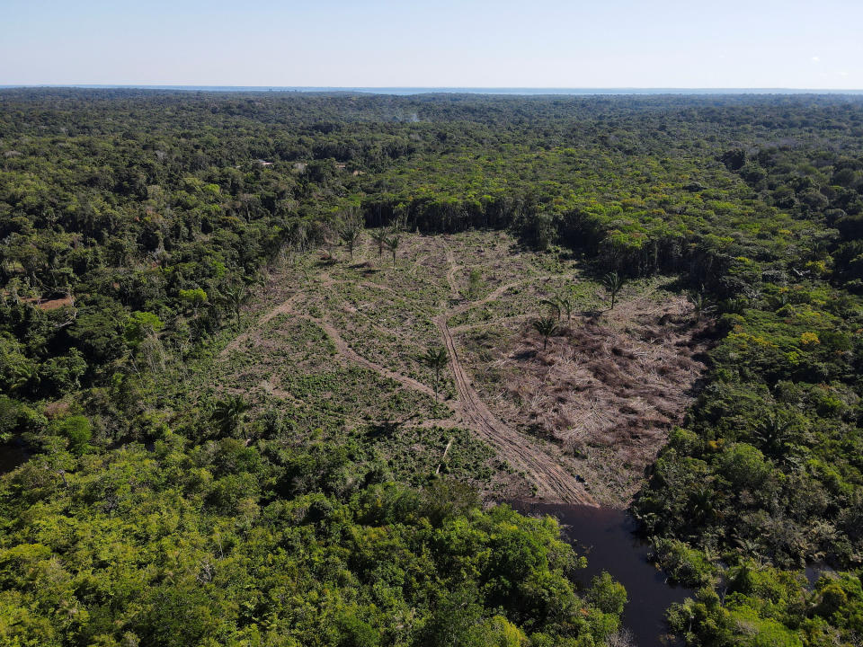 A deforested area of the rainforest is seen from above