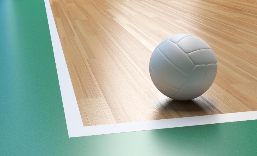 Volleyball on court