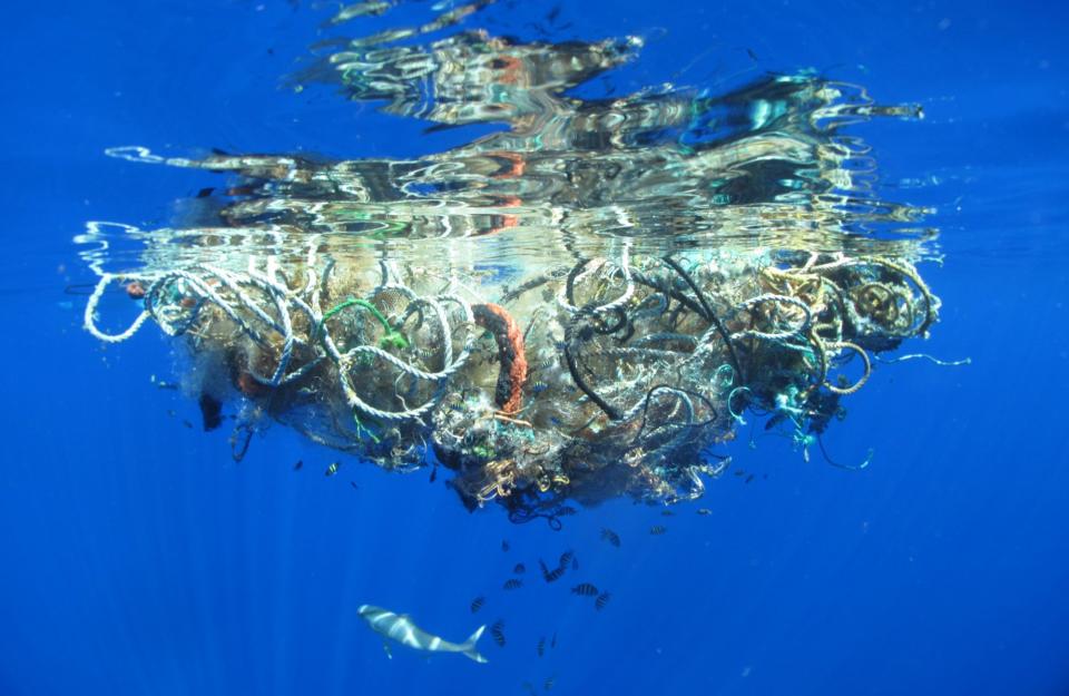 pacific garbage patch