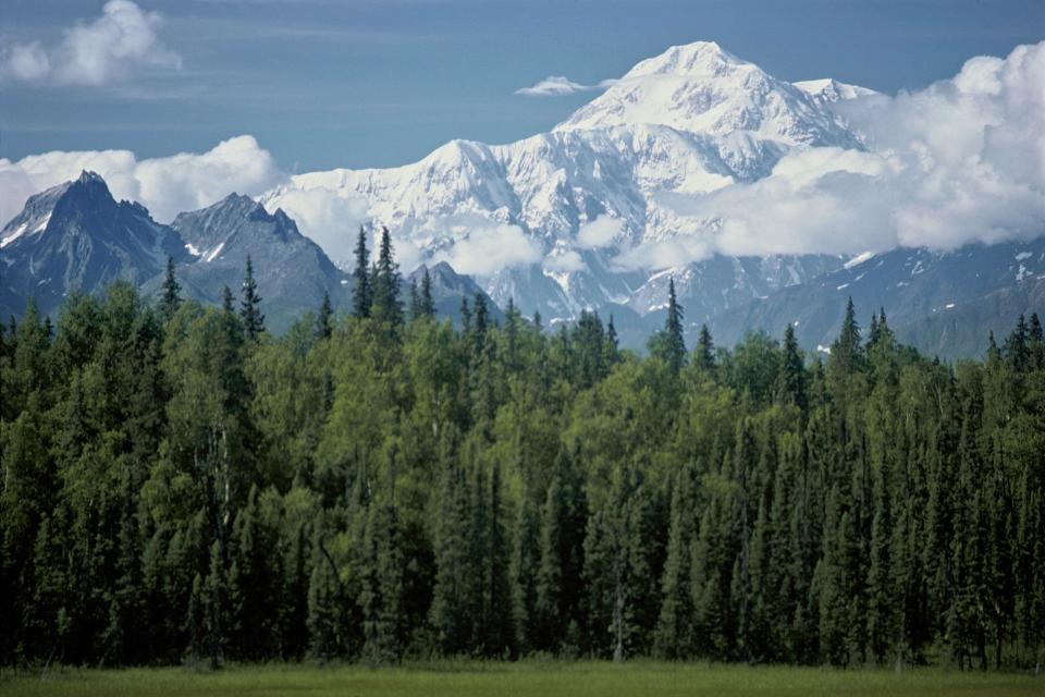 Landscape in Denali National Park. / Credit: Jean-Erick PASQUIER/Gamma-Rapho via Getty Images