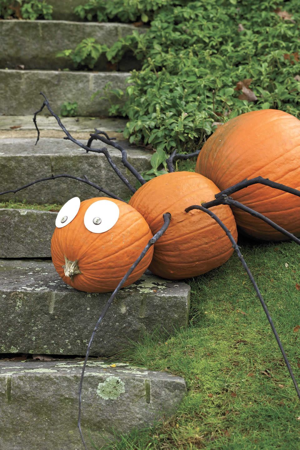 <p>Turn three gourds on their side to make this spider. Button eyes and branch legs complete the creepy crawly creature.</p><p>Get the <a href="https://www.womansday.com/home/crafts-projects/how-to/a6030/craft-project-spindly-spider-123878/" rel="nofollow noopener" target="_blank" data-ylk="slk:Spindly Pumpkin Spider tutorial;elm:context_link;itc:0;sec:content-canvas" class="link "><strong>Spindly Pumpkin Spider tutorial</strong></a>.</p><p><a class="link " href="https://www.amazon.com/Campfire-Suitable-Catering-Crafting-Tezzorio/dp/B09W7BKCSH?tag=syn-yahoo-20&ascsubtag=%5Bartid%7C10070.g.331%5Bsrc%7Cyahoo-us" rel="nofollow noopener" target="_blank" data-ylk="slk:SHOP BAMBOO SKEWERS;elm:context_link;itc:0;sec:content-canvas">SHOP BAMBOO SKEWERS</a></p>