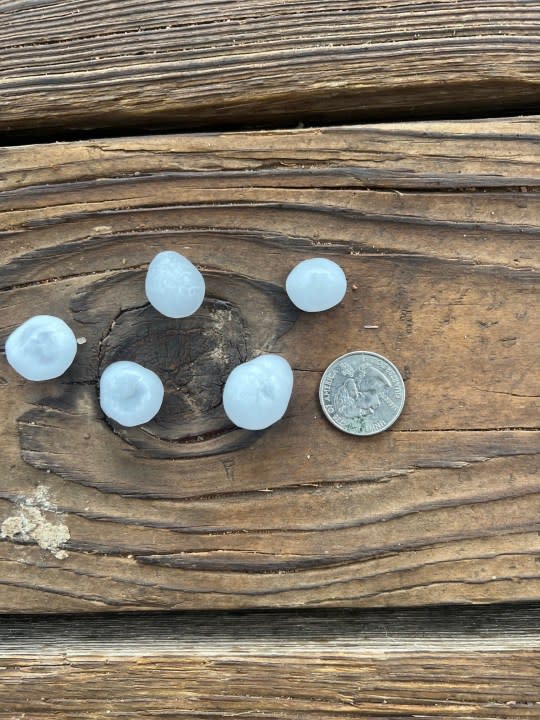 Quarter-sized hail in Mason County on March 15, 2024. (Courtesy: Elisha Vierus)