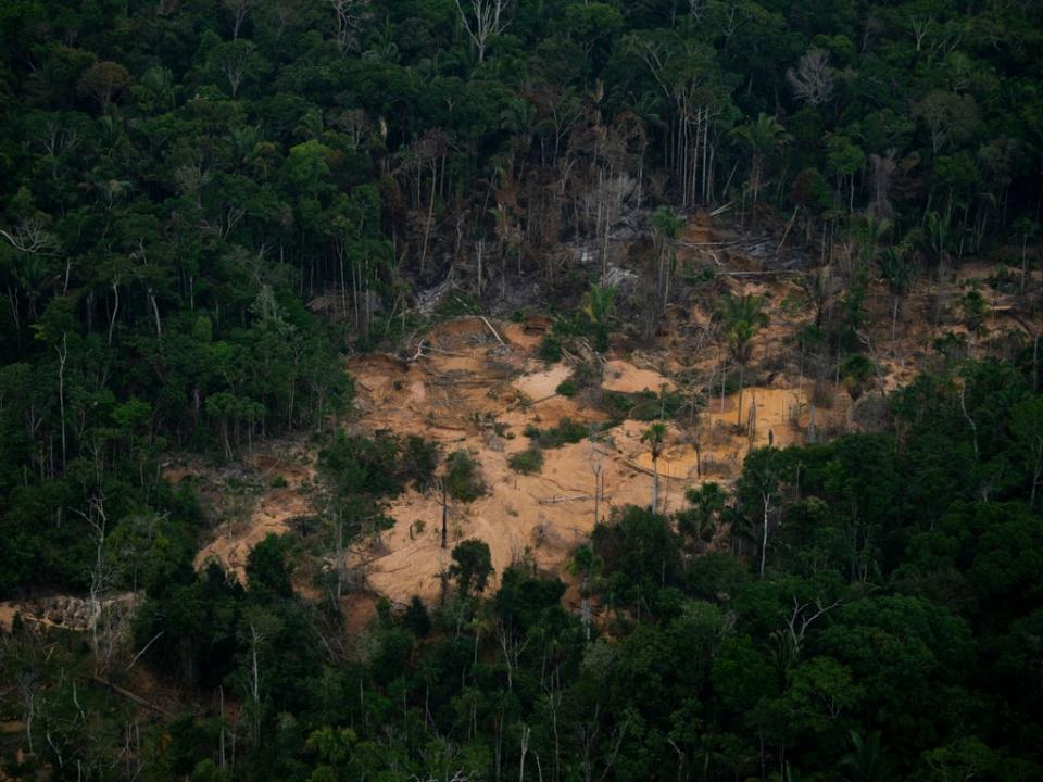 Aerial view of a deforested area of the Amazonia rainforest in Rondonia state in Brazil (AFP via Getty Images)
