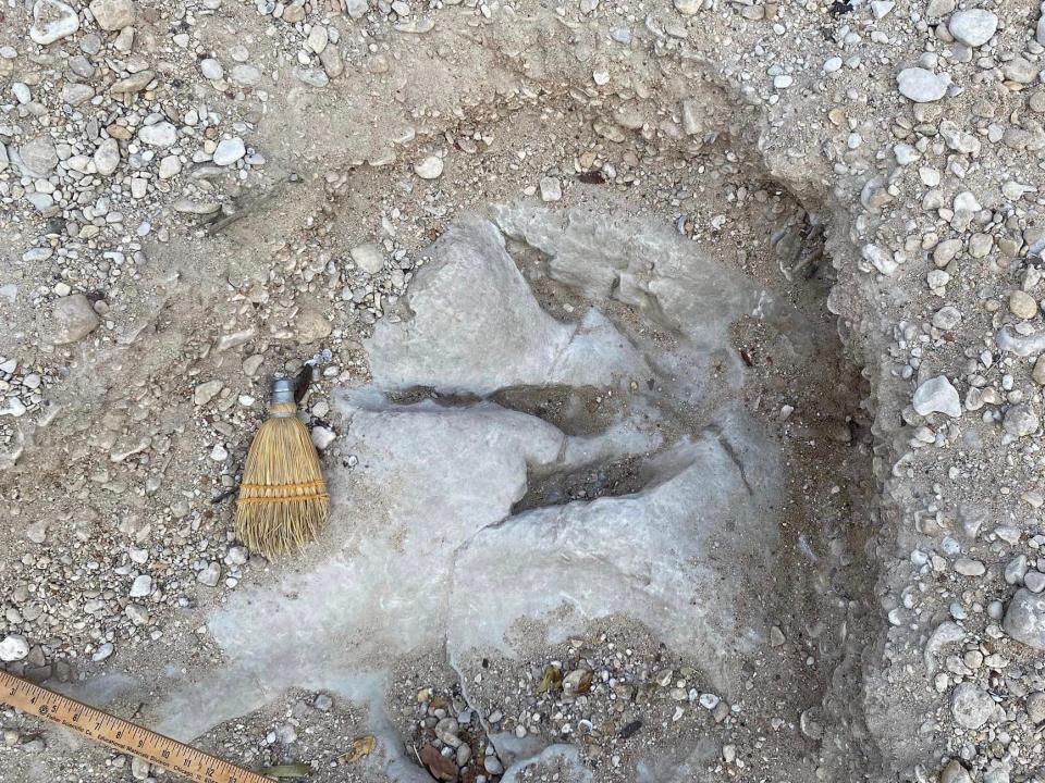 A three-toed track inside a larger one in Dinosaur Valley State Park in Glen Rose, Texas, August 2023, after a riverbed dried up.