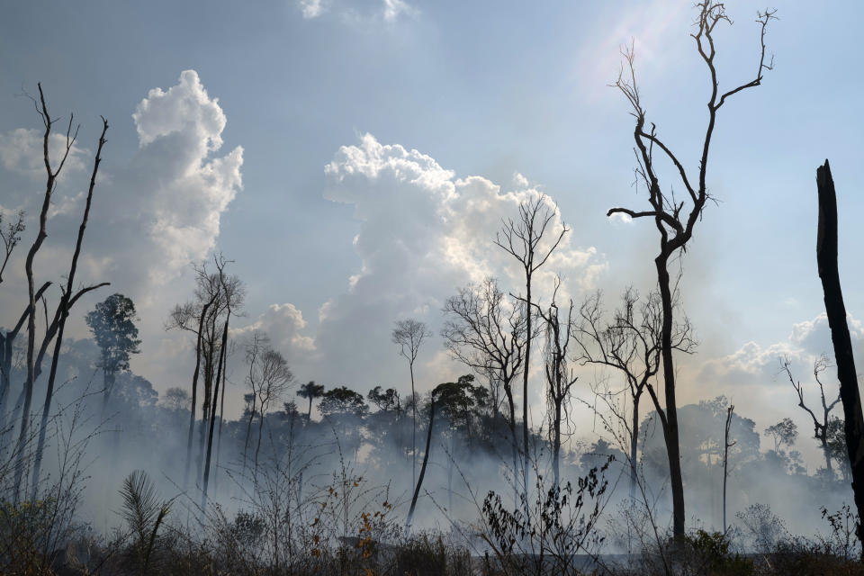 FILE - This Aug. 25, 2019 file photo shows charred consumed by a fire in an area in the Alvorada da Amazonia region, in Novo Progresso, Para state, Brazil. In November 2019 police accused several volunteer firefighters of setting forest fires to get funding through local NGOs in Alter do Chao, a town of less than 10,000 people on the edge of the Tapajos river in the state of Para. Federal prosecutors quickly said their investigation found no such evidence, the local police officer leading the investigation was removed from the case, and a judge ordered the firefighters be released from prison. (AP Photo/Leo Correa)