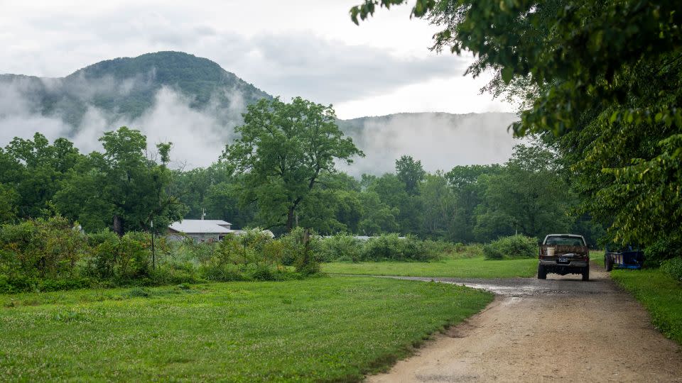 Neighboring farms, like here in Tennessee, and elsewhere in the South joined the research on AMP grazing.  - Evelio Contreras/CNN