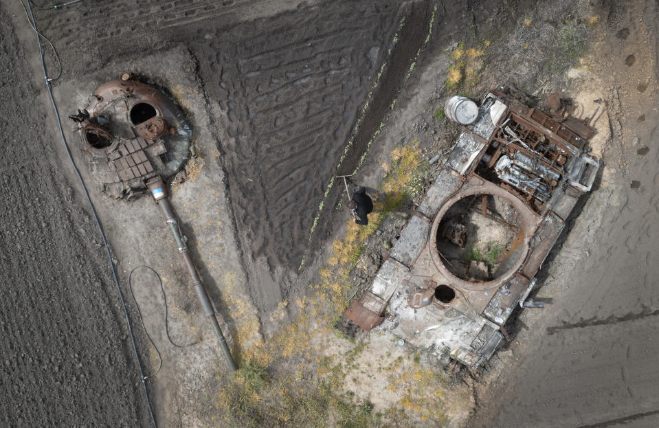 A man plants sunflowers in his garden between the damaged Russian tank and its turret, in the village of Velyka Dymerka, Kyiv region, Ukraine, Wednesday, May 17, 2023. (AP Photo/Efrem Lukatsky)