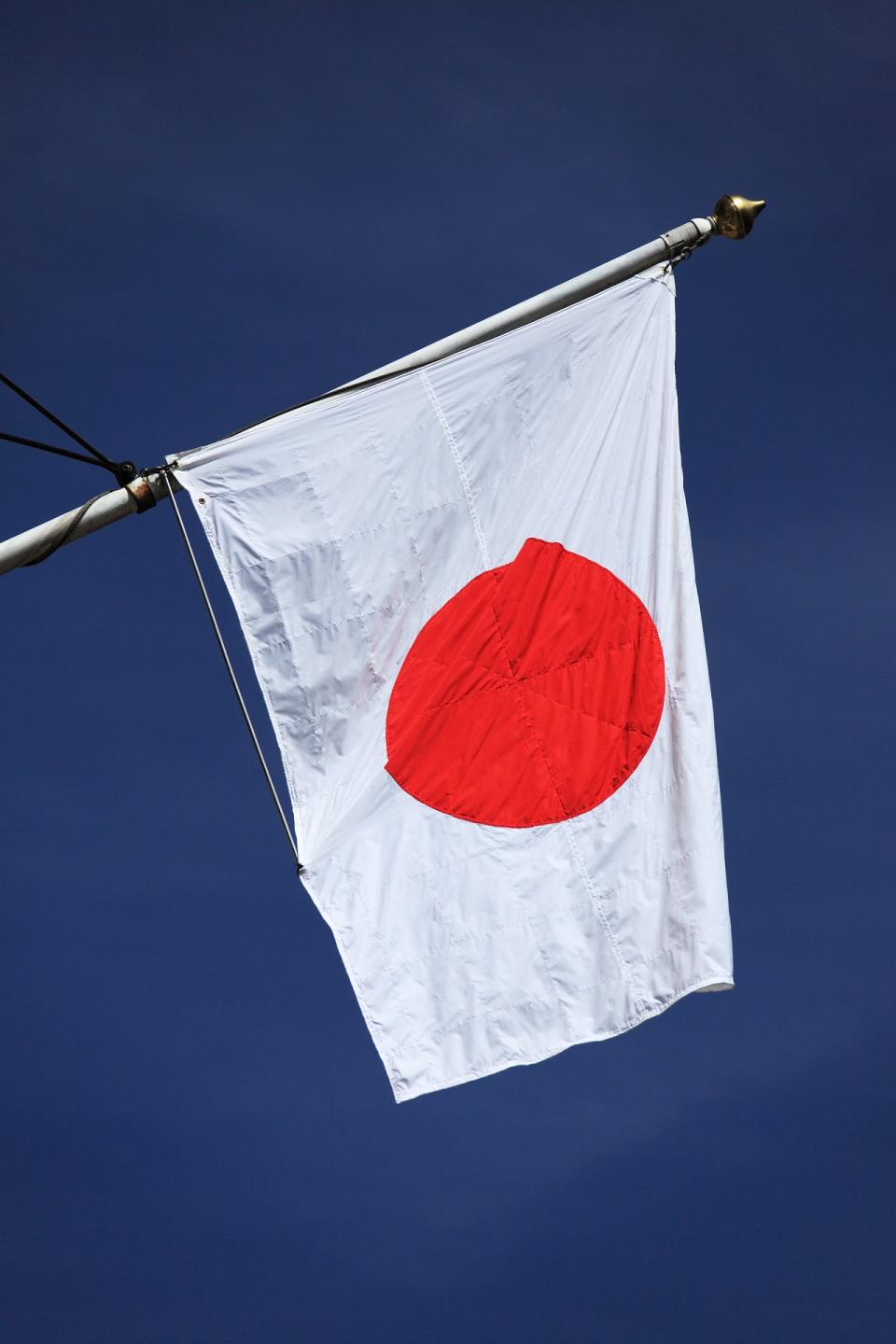 日本人罹患胃癌的機率是全球前幾名。（示意圖／Pixabay）