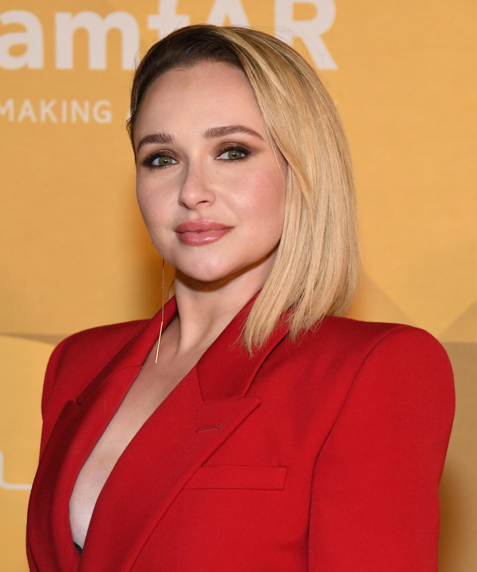 Closeup of Hayden Panettiere