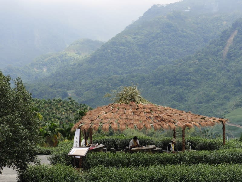 圖片提供/交通部觀光局阿里山國家風景區管理處 