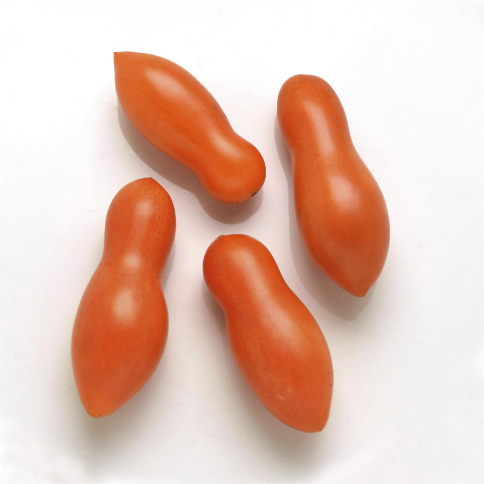 This image provided by PanAmerican Seed shows Sun Dipper tomatoes, a new 2023 variety shaped to make holding between your fingers when dipping in dressings easier and neater. (Hand Picked Vegetables from PanAmerican Seed via AP)