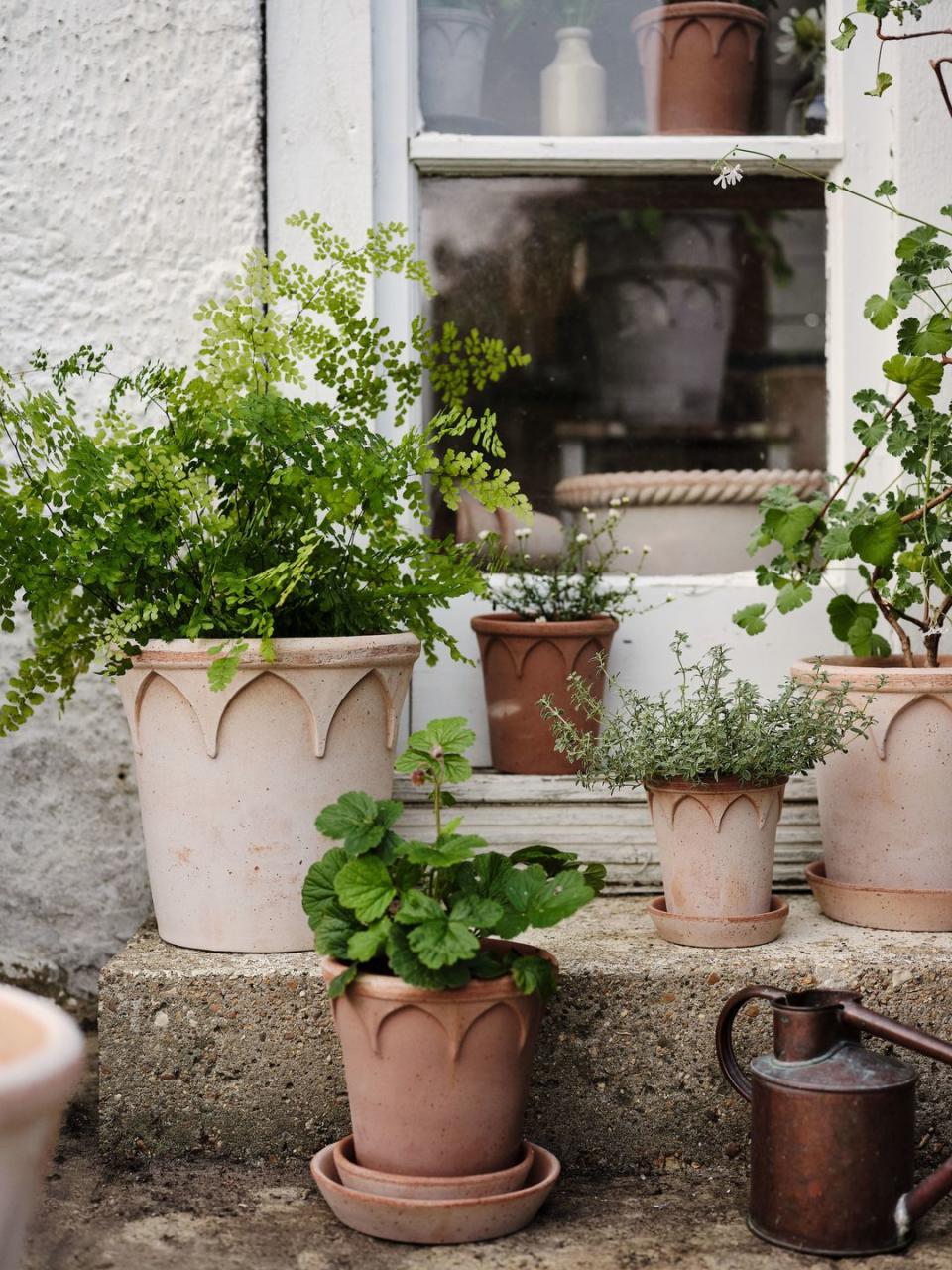 elizabeth flower pot from bergs potter