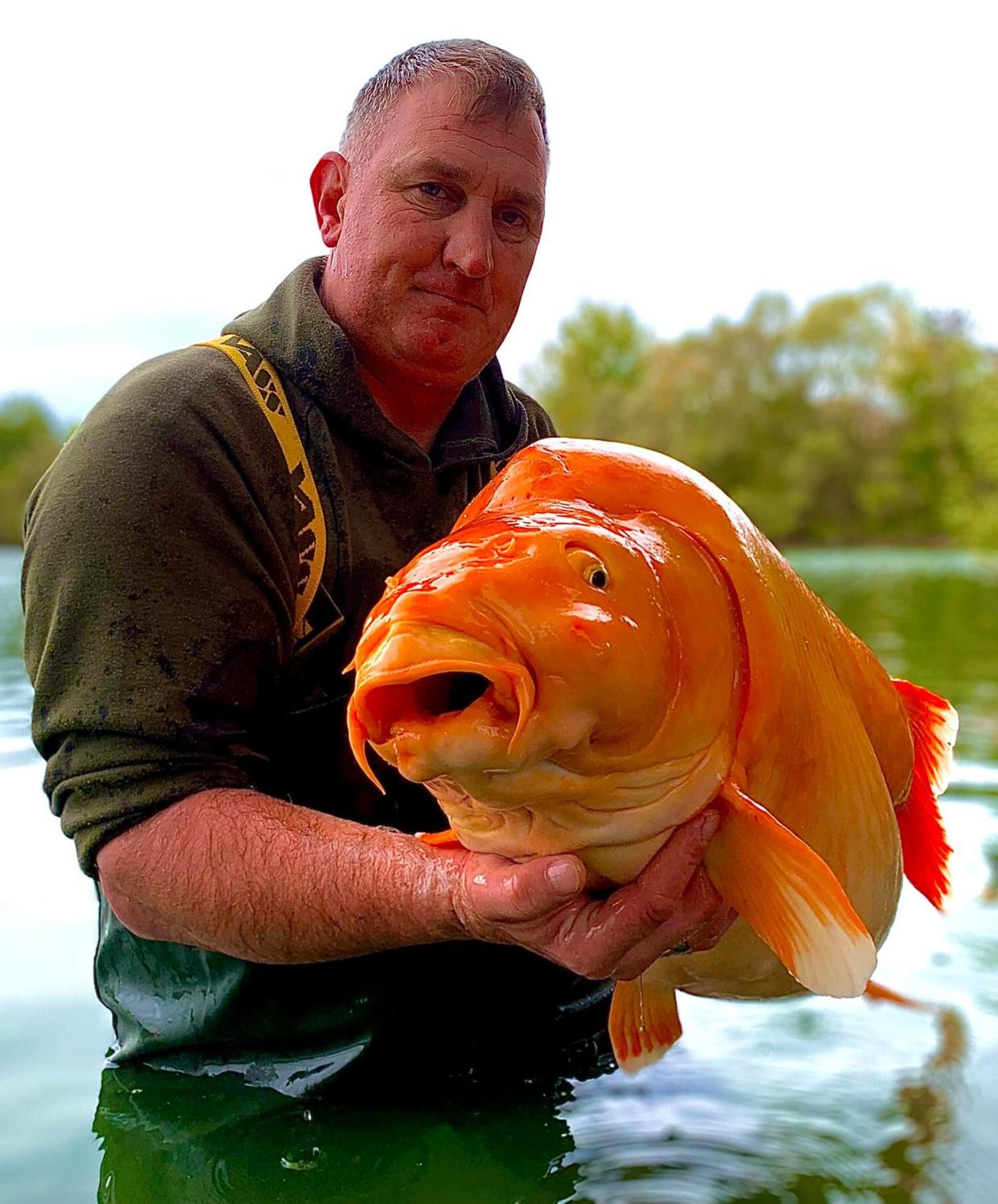 ??CARROT?? weighing in @67.4lbs!! Well done Andy top dangling