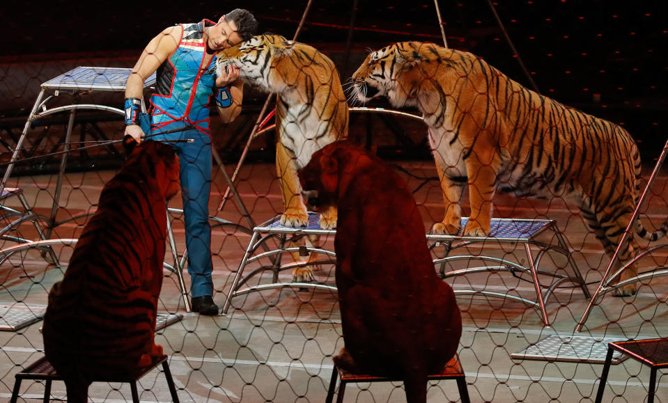 <p>Big cat trainer Alexander Lacey hugs one of the tigers during the final show of the Ringling Bros. and Barnum & Bailey Circus, Sunday, May 21, 2017, in Uniondale, N.Y. Ringling’s circus began its final show Sunday evening after 146 years of wowing audiences with its “Greatest Show on Earth.” (AP Photo/Julie Jacobson) </p>