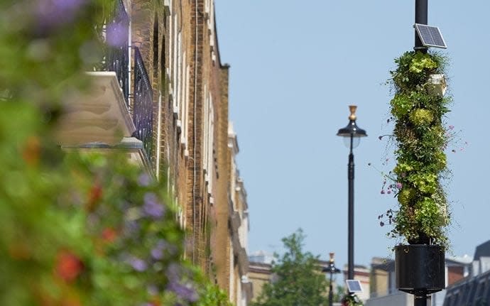 'Smart Pillars' are being installed in London's Belgravia to try and clean up the air and promote mental wellbeing - Boris Dadvisard