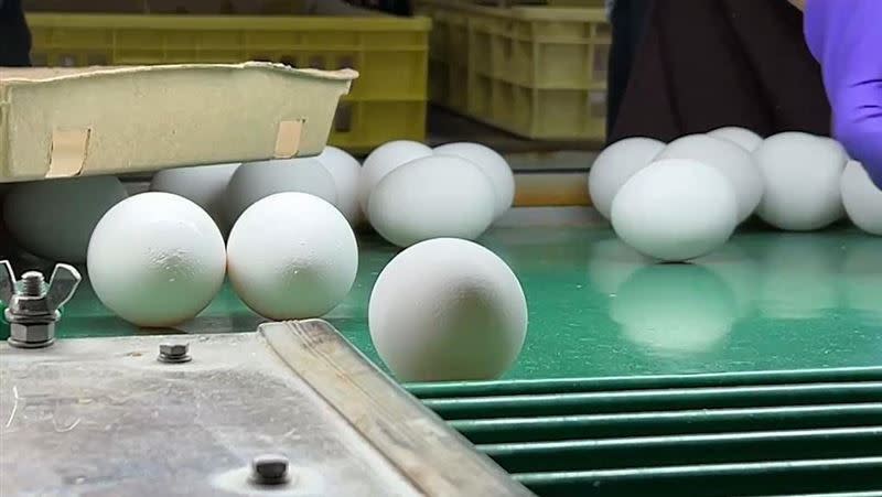  高雄維生局裁處台農、信興蛋品公各400萬元。（圖／資料照）