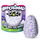 <p><a rel="nofollow noopener" href="http://www.walmart.ca/search/hatchimals" target="_blank" data-ylk="slk:Hatchimals;elm:context_link;itc:0;sec:content-canvas" class="link ">Hatchimals</a><br> $59.97 </p>