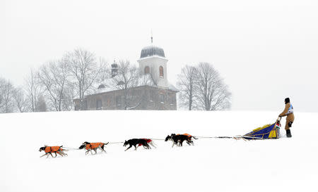 A musher rides his dog sled during a stage of the Sedivackuv Long dog sled race in Destne v Orlickych horach, Czech Republic, January 25, 2019. REUTERS/David W Cerny