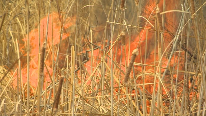 Moderate to severe drought grips southern Manitoba